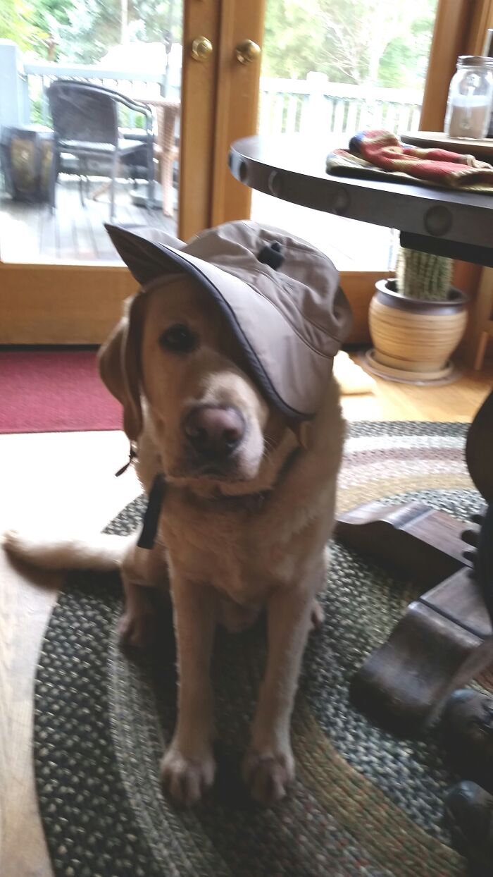 Really Tired Of All The Rain