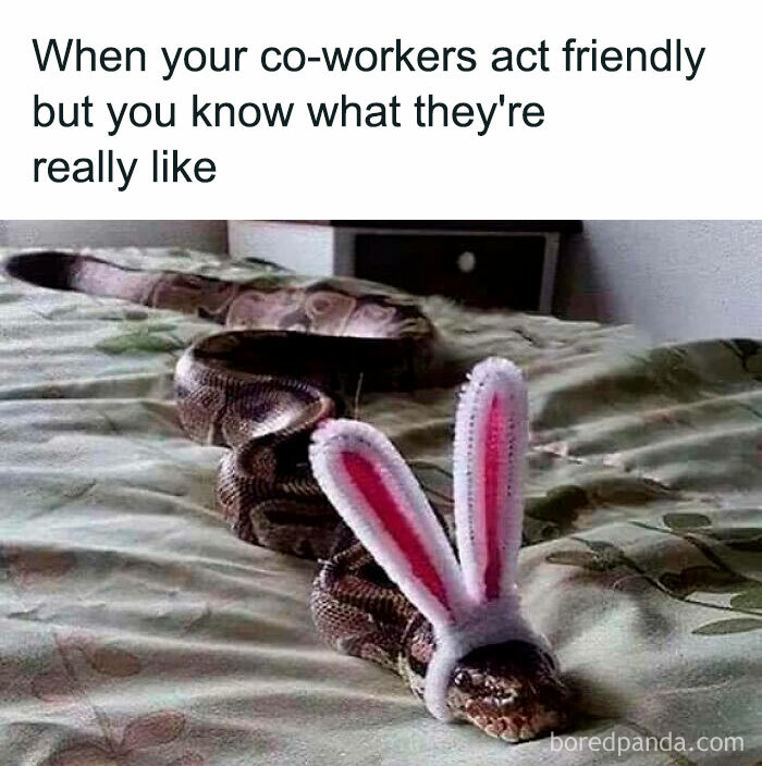 Relatable-Work-Humorous-Memes