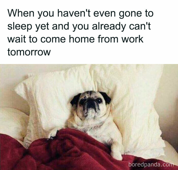 Relatable-Work-Humorous-Memes