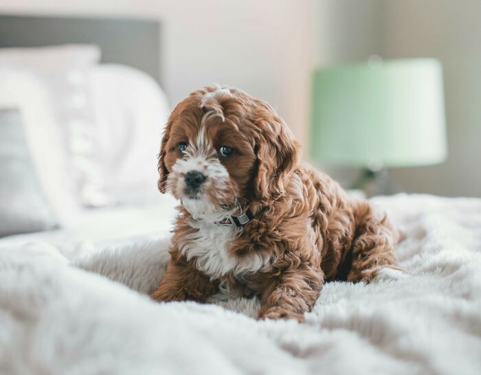 People Online Discuss 32 Punishments That In Reality Are Way More Harsh Than They Sound 