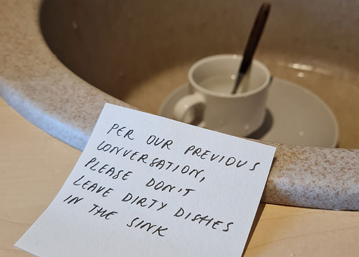 Roommate Complains About Dishes In The Sink, Regrets It When She Does The Same Thing