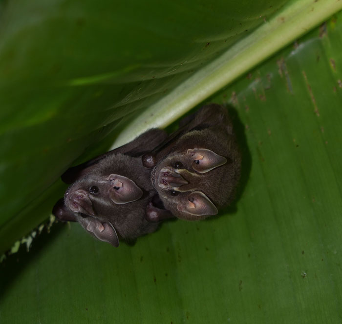 “I’ve Never Wished So Much Pain On A Person Before”: People Share What Ruined Their Wedding