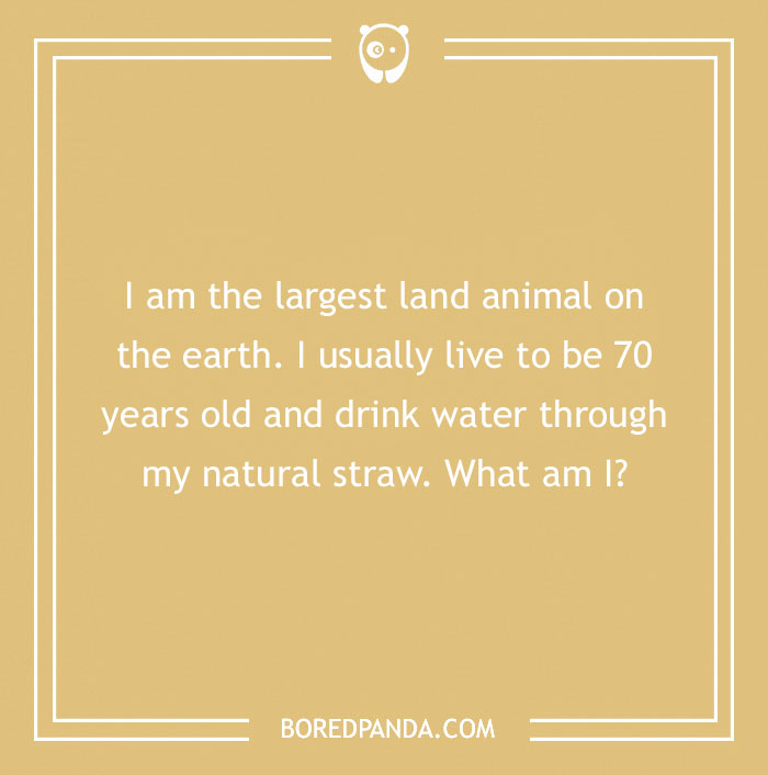 132 Fun Science Riddles If You’re Up For A Brainteasing Challenge