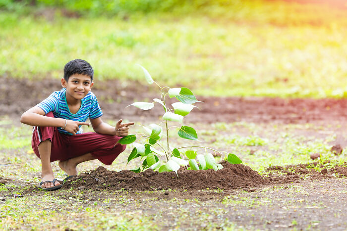 India's Green Success Story: Setting A Guinness World Record For Planting 66 Million Trees In Just 12 Hours