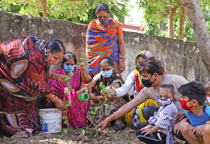 India's Green Success Story: Setting A Guinness World Record For Planting 66 Million Trees In Just 12 Hours