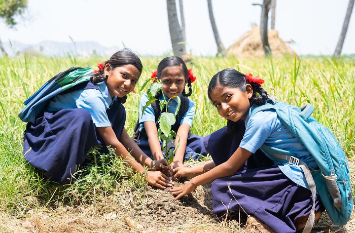 India's Green Success Story: Setting A Guinness World Record For Planting 66 Million Trees In Just 12 Hours