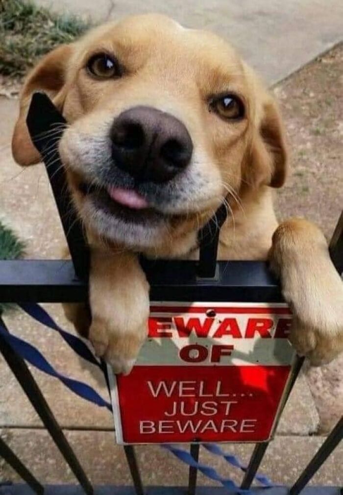 50 Times Signs Were So Funny, People Had To Share Them In This Facebook Group