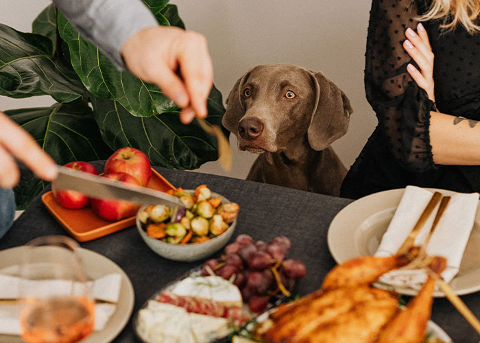 “Take Out All The Quarters”: People Share 40 Unscrupulous Practices They Live By