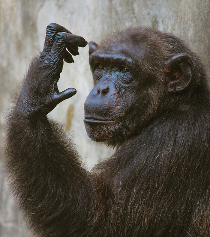 “Not 30% Chance Of It Raining”: Simple Concepts Unknown To People Outside These Fields Of Study