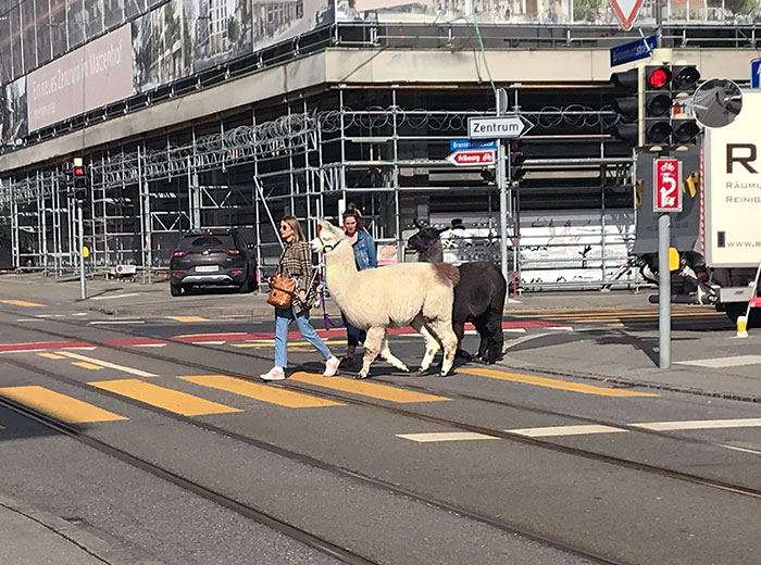 Only In Bern