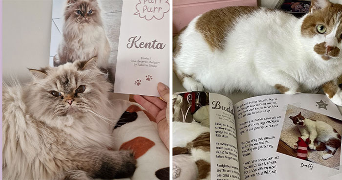 This Year’s Worldwide Cat Photobook Winners, Showcased Alongside Their Winning Photos (20 Pics)