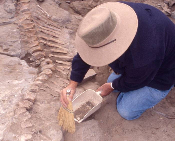 "What Is Currently In Its 'Golden Age', But Not Enough People Know About It?" (40 Answers)