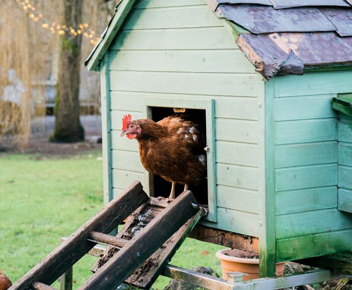 30 Unique Reasons Why Someone Didn't Buy A House, As Shared Online