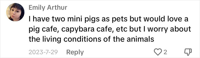 Pigs At This Cafe In Tokyo Are Called &ldquo;Buta-San,&rdquo; And They Trot Around Looking For Pets