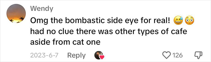 Pigs At This Cafe In Tokyo Are Called &ldquo;Buta-San,&rdquo; And They Trot Around Looking For Pets