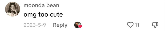 Pigs At This Cafe In Tokyo Are Called &ldquo;Buta-San,&rdquo; And They Trot Around Looking For Pets