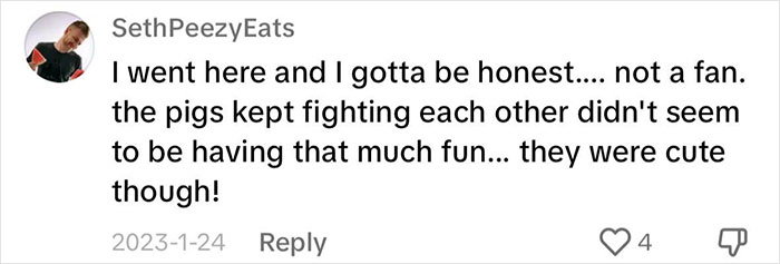 Pigs At This Cafe In Tokyo Are Called &ldquo;Buta-San,&rdquo; And They Trot Around Looking For Pets