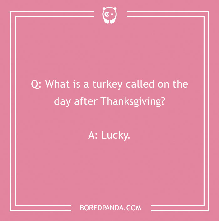 110 Turkey Jokes Dedicated Only To This Majestical Bird