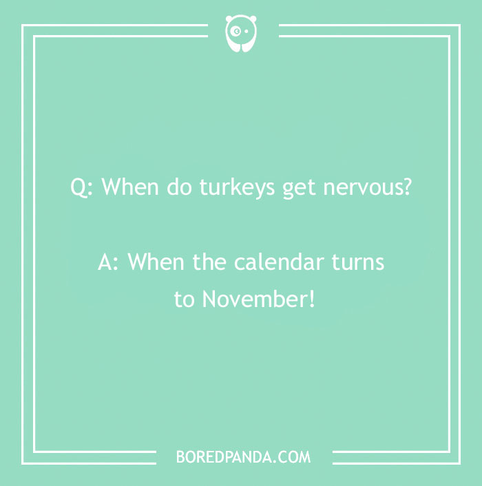 110 Turkey Jokes Dedicated Only To This Majestical Bird