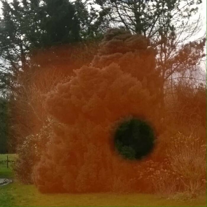 Unspectacular-Subject-Photography