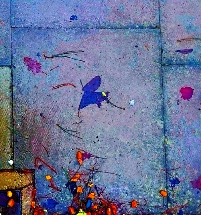 Unspectacular-Subject-Photography