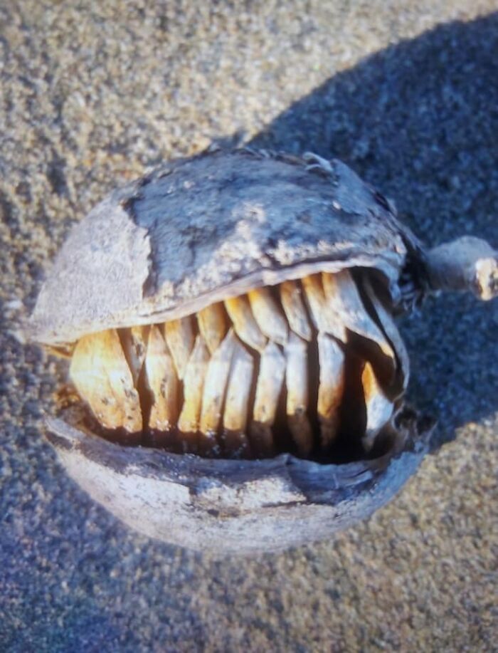 Unspectacular-Subject-Photography