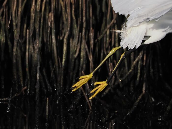 Unspectacular-Subject-Photography