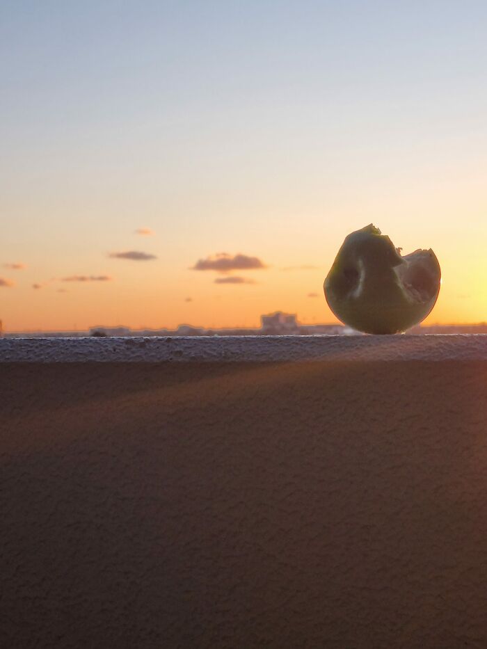 Unspectacular-Subject-Photography