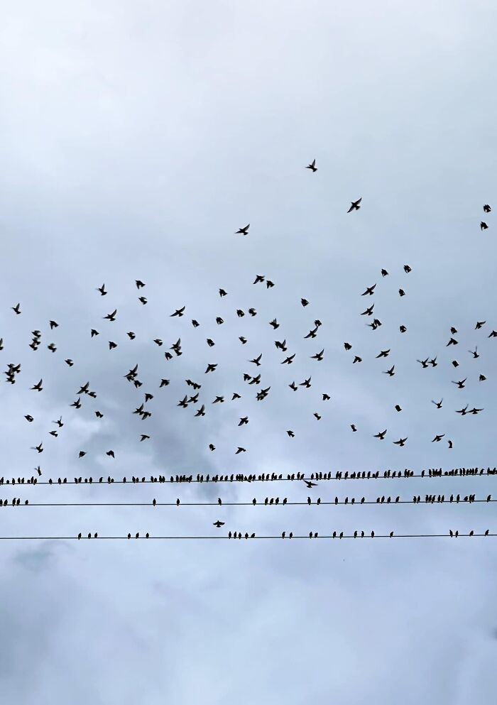 Unspectacular-Subject-Photography