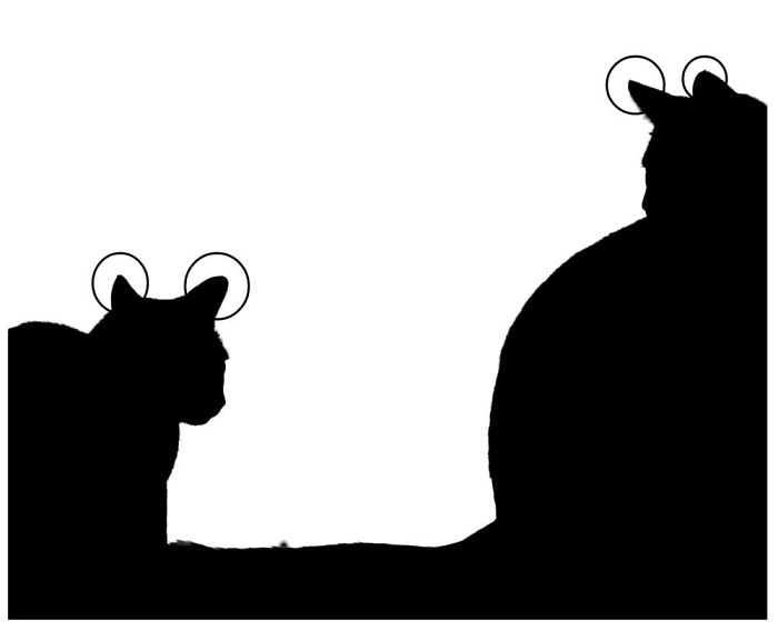 Unspectacular-Subject-Photography