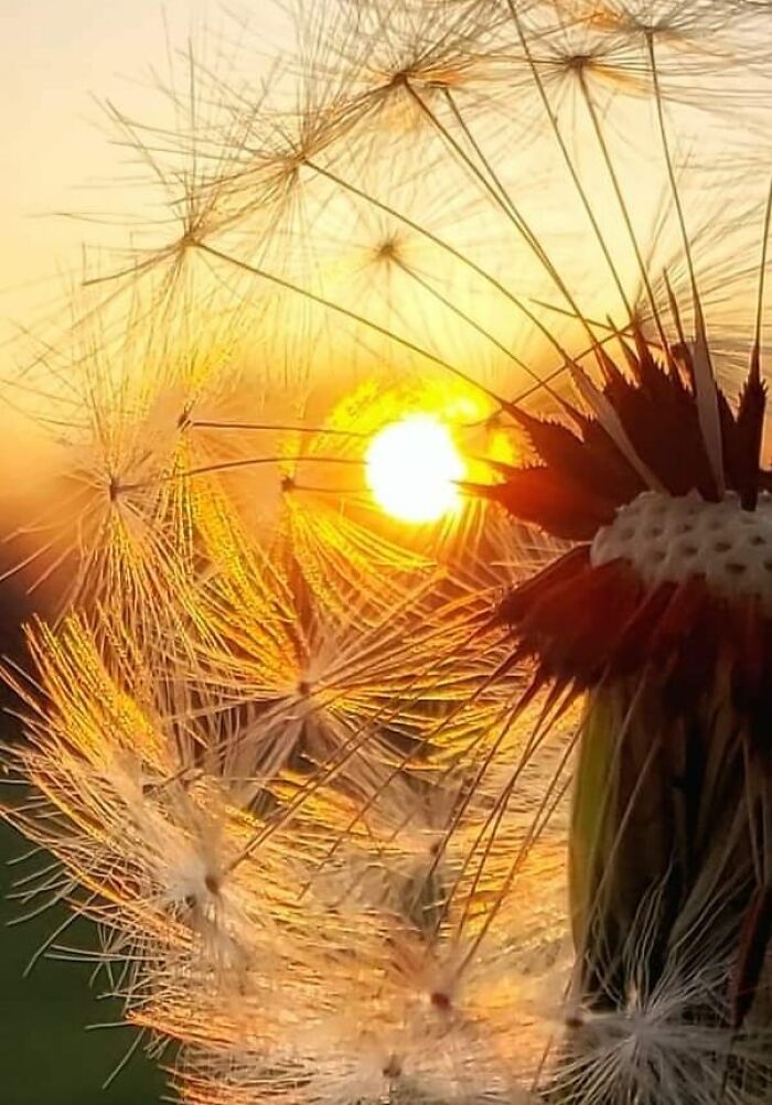 Unspectacular-Subject-Photography