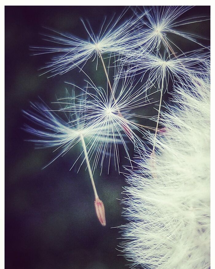 Unspectacular-Subject-Photography