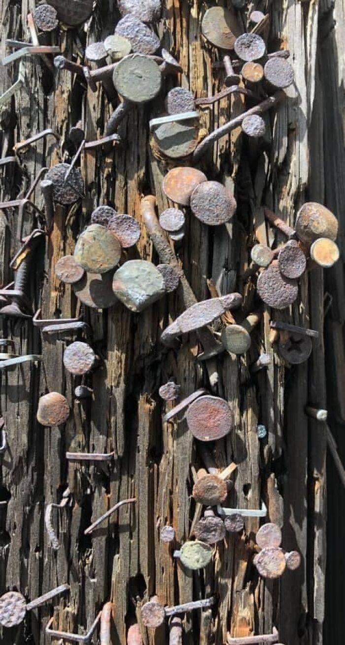 Unspectacular-Subject-Photography