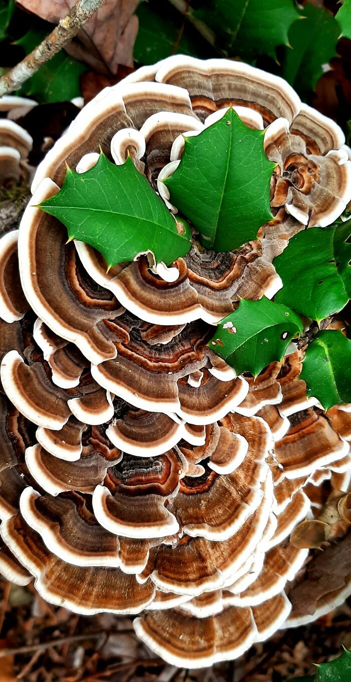 Unspectacular-Subject-Photography