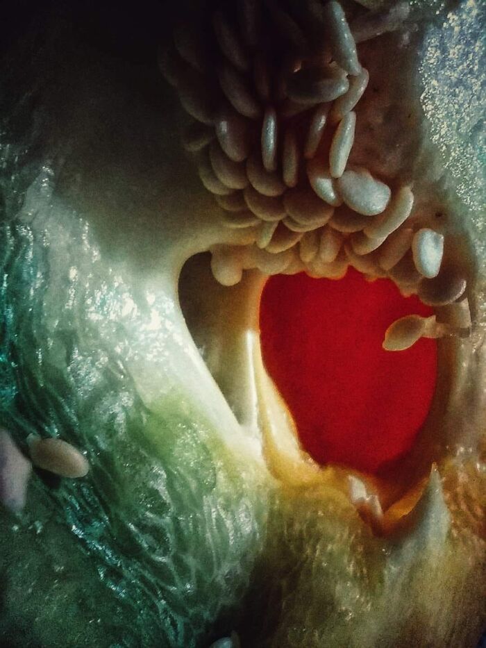 Unspectacular-Subject-Photography