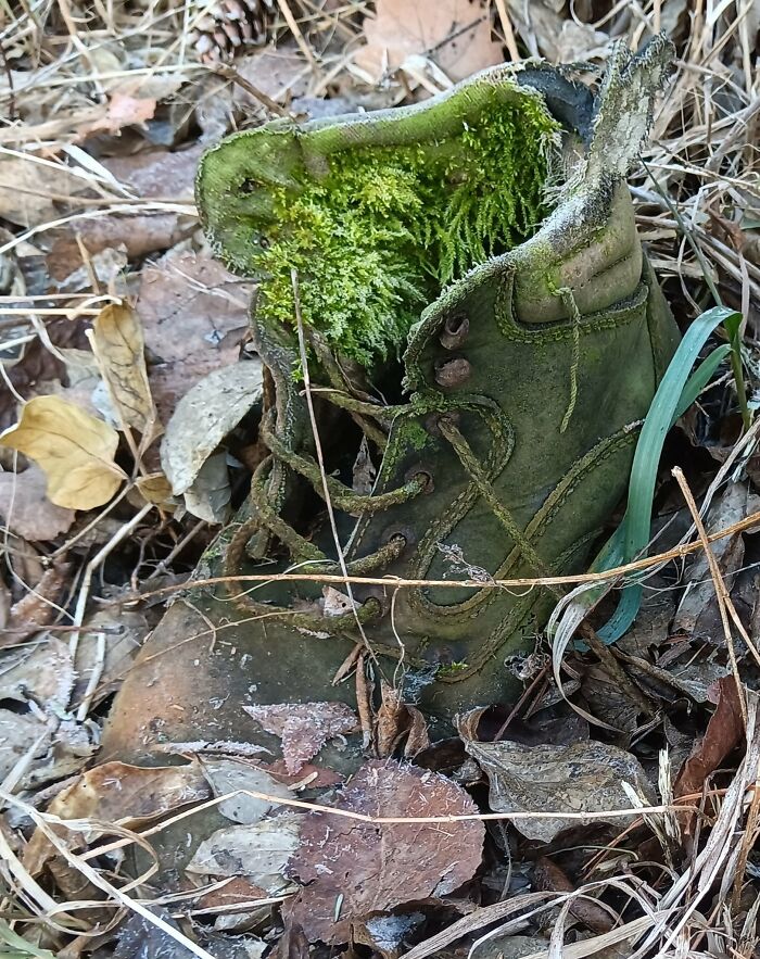 Unspectacular-Subject-Photography