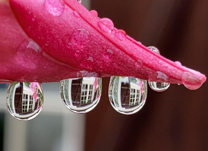 Unspectacular-Subject-Photography