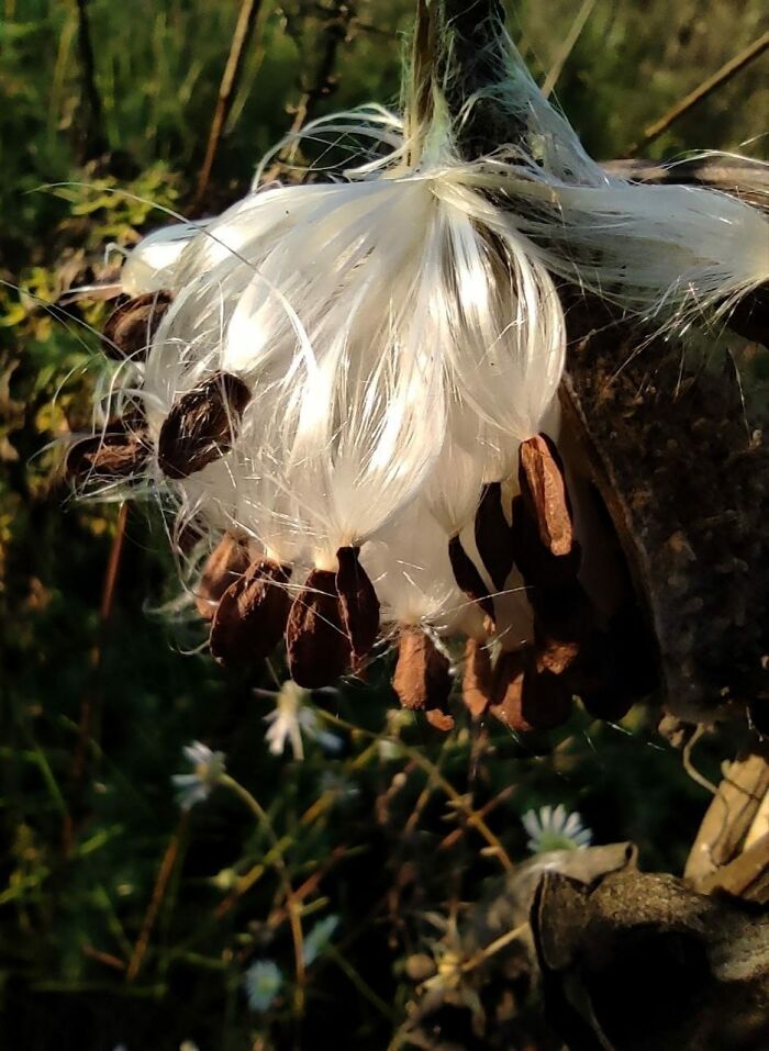 Unspectacular-Subject-Photography