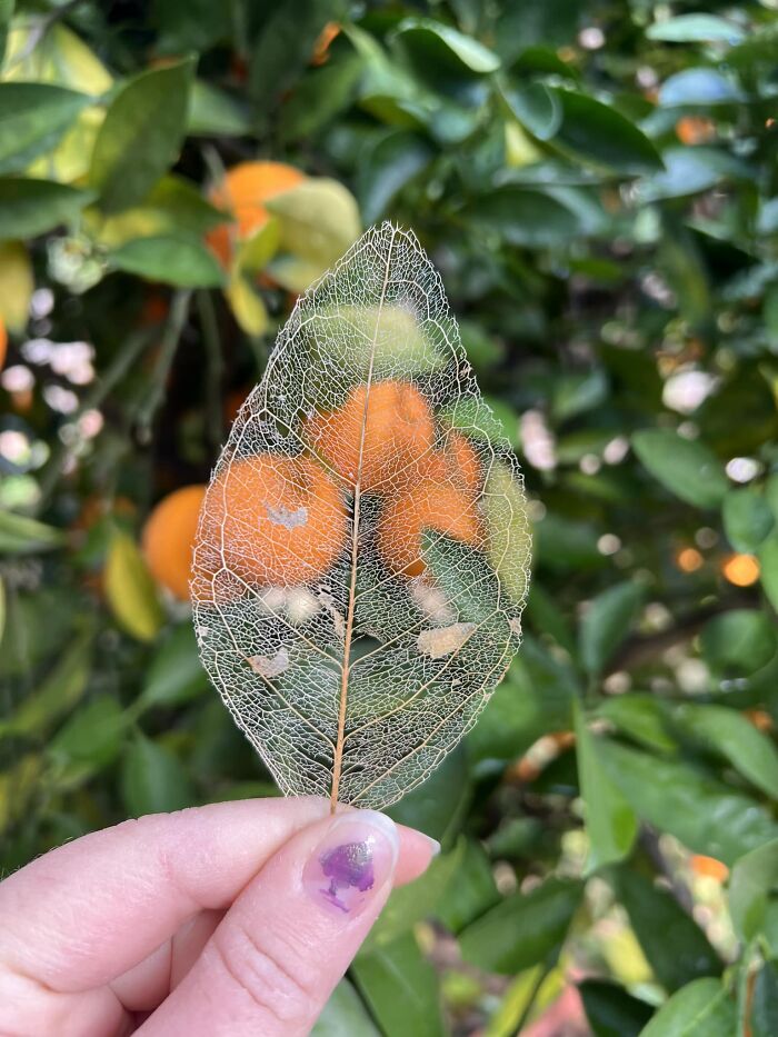 Unspectacular-Subject-Photography