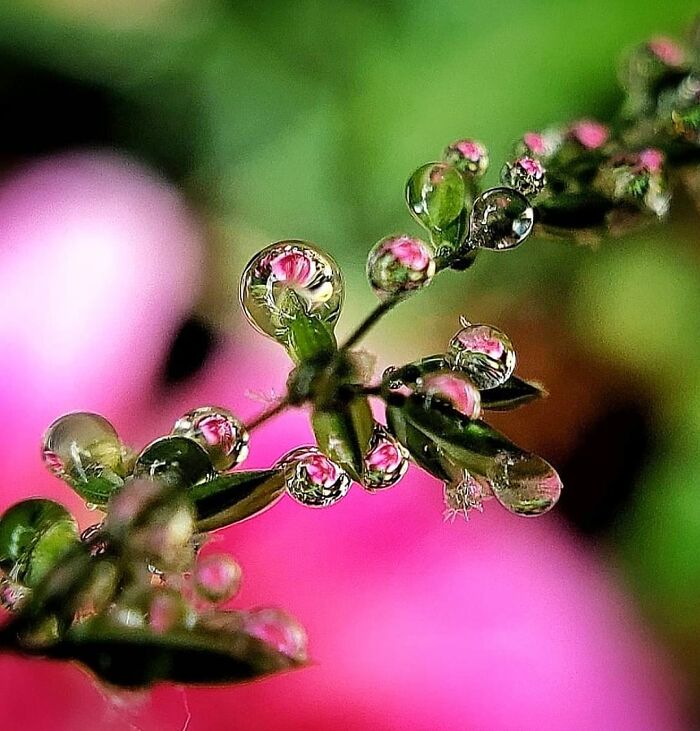 Unspectacular-Subject-Photography