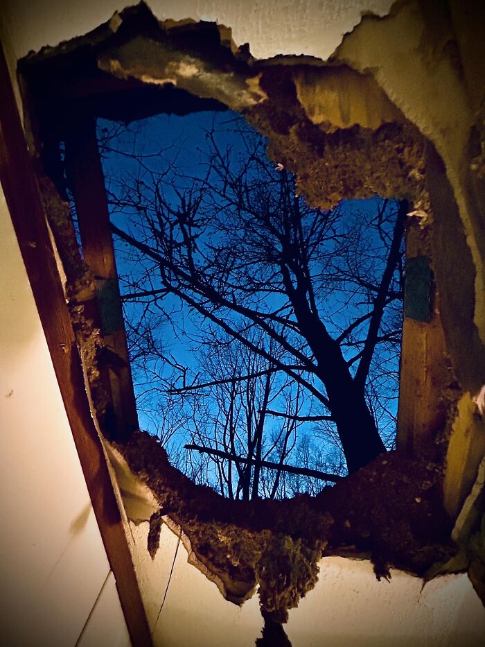 Unspectacular-Subject-Photography