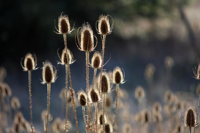 Unspectacular-Subject-Photography