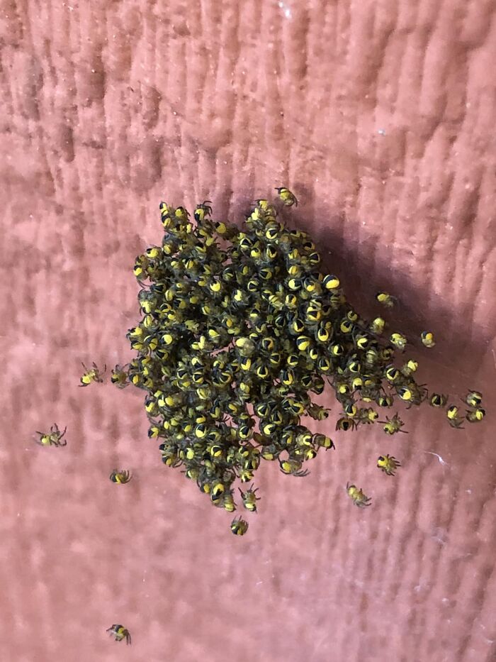 Unspectacular-Subject-Photography