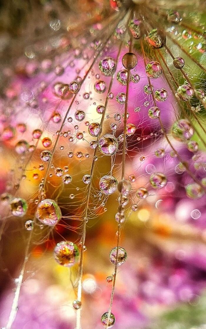 Unspectacular-Subject-Photography