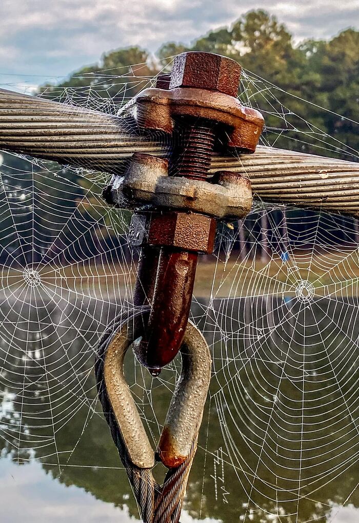 Unspectacular-Subject-Photography