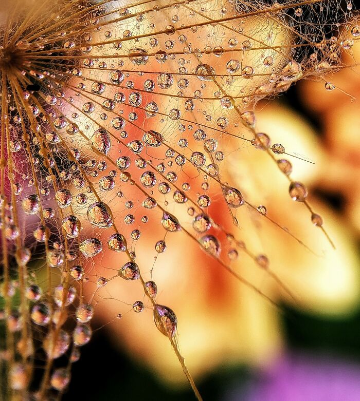 Unspectacular-Subject-Photography