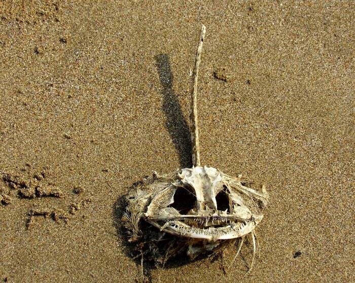 Unspectacular-Subject-Photography