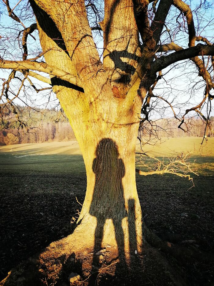 Unspectacular-Subject-Photography