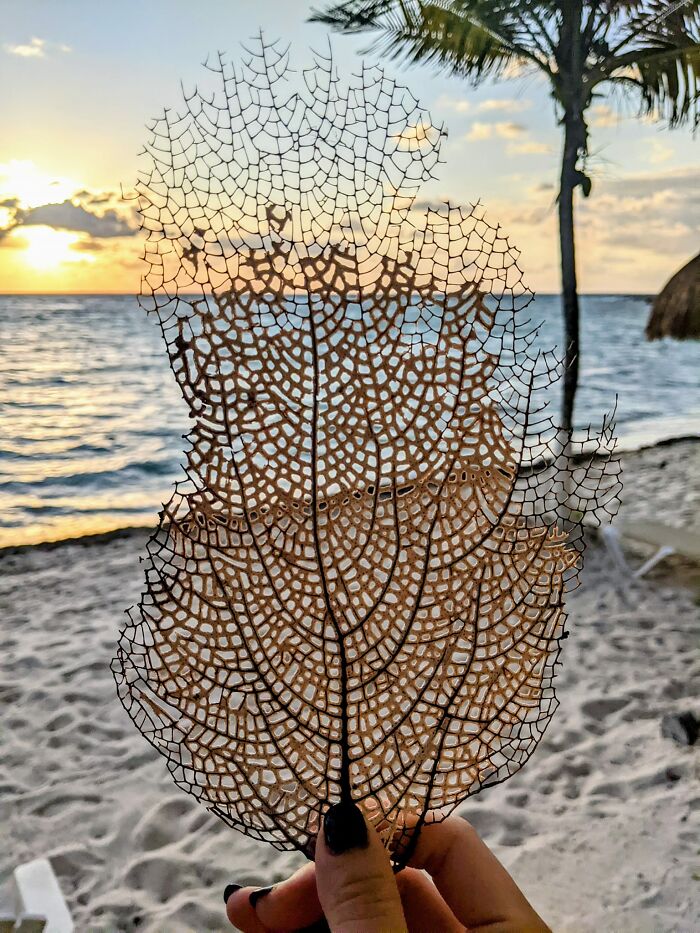 Unspectacular-Subject-Photography