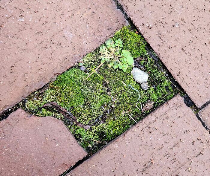 Unspectacular-Subject-Photography